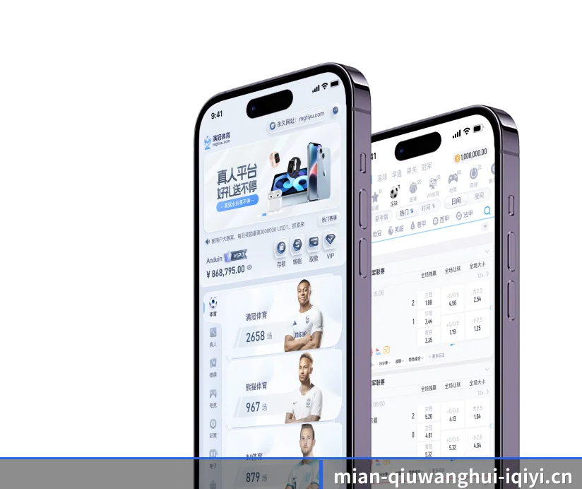 国际化进程